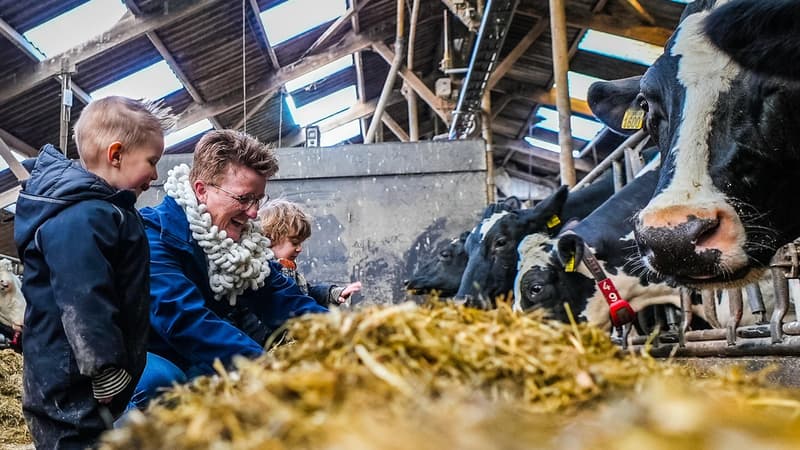 De Loeiende Koe - Kinderdagverblijf in Westbeemster