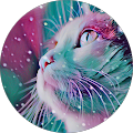 Infinitycat 100%