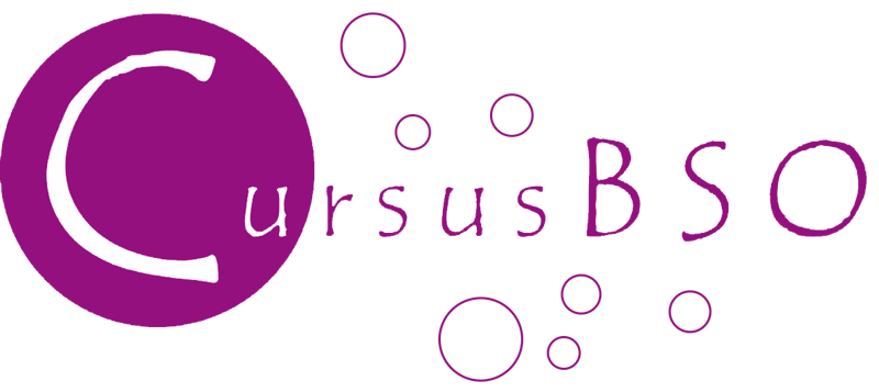 Cursus BSO - Buitenschoolse opvang in Utrecht
