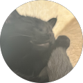 B E