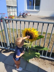 Het Troonkasteel - Image 1