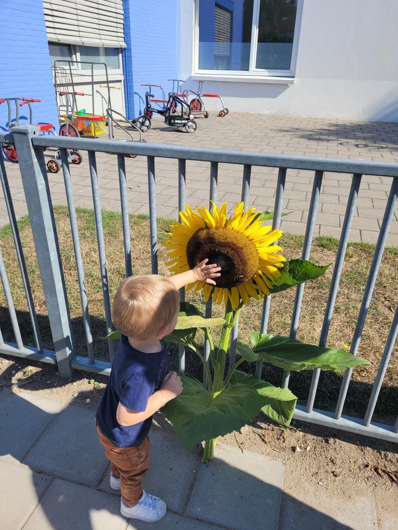 Het Troonkasteel - Kinderdagverblijf in Tiel