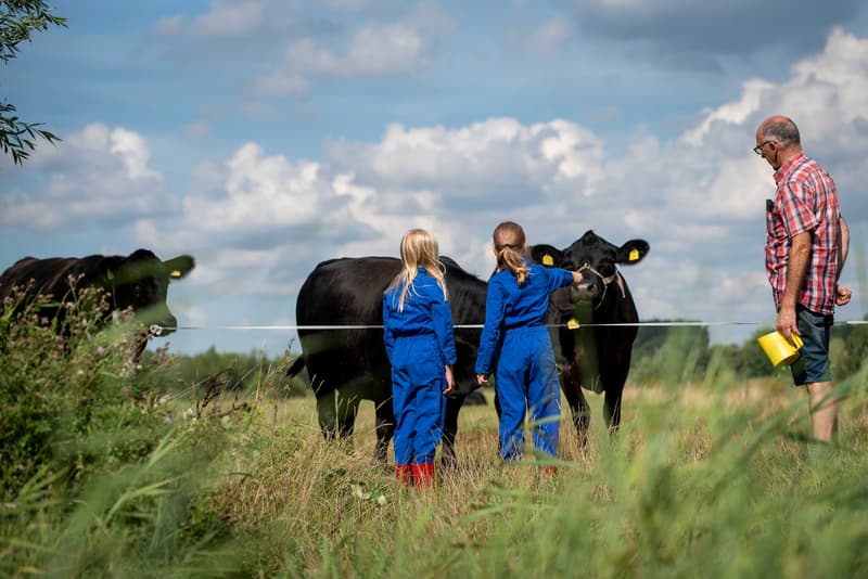 MikMak Voordorpsedijk - Buitenschoolse opvang in Groenekan