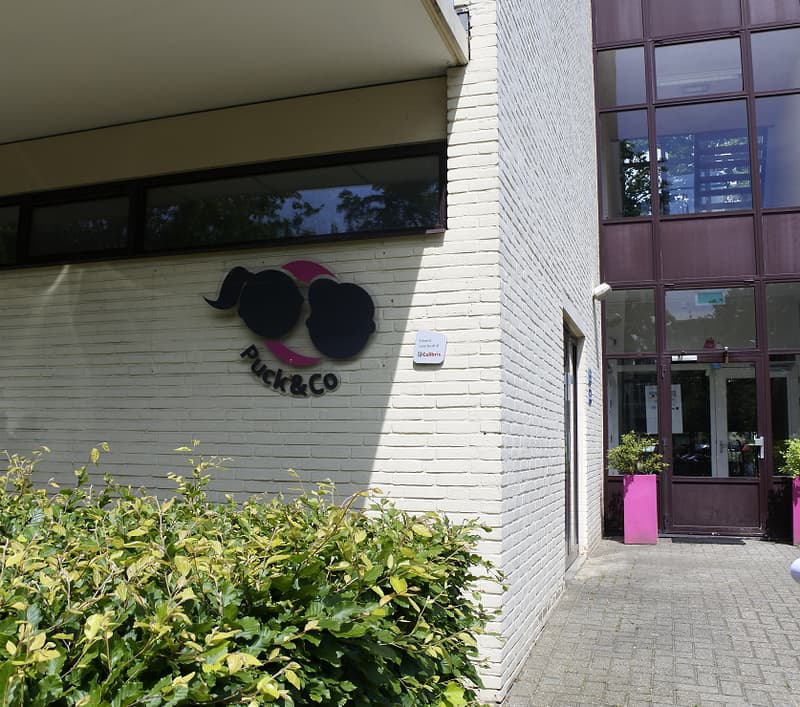 Puck&Co De Zon - Kinderdagverblijf in Velp