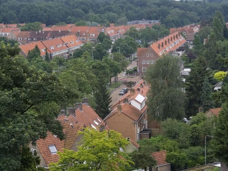Cranevelt - Daycare in Arnhem