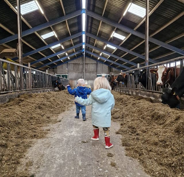 Kinderopvang Madelief - Kinderdagverblijf in Delfstrahuizen
