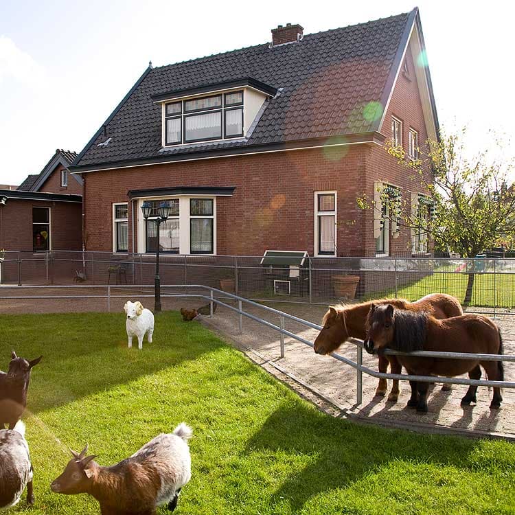 't Strijpje - Daycare in Rijswijk