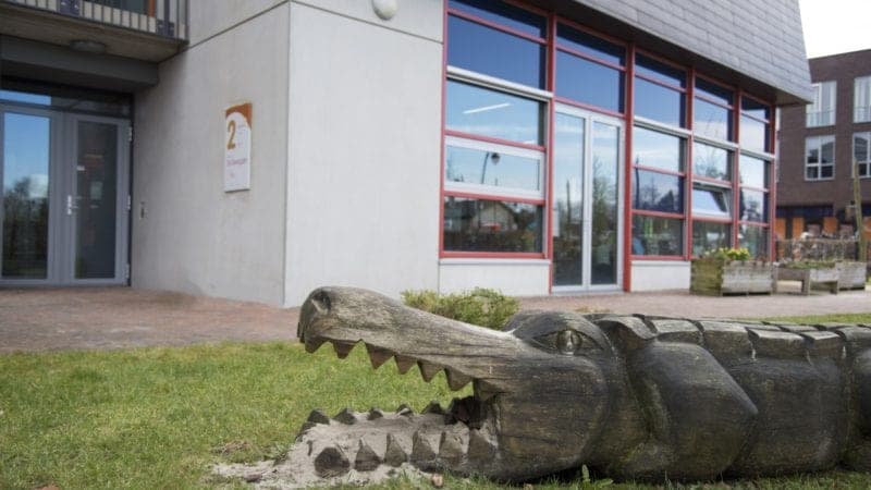 Ska Kindcentrum de Dwergster - Daycare in Leusden