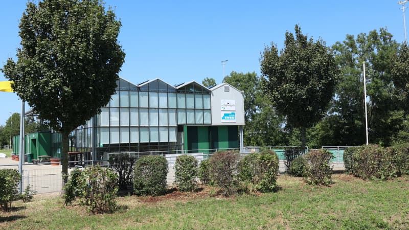 BSO KwestKids Maasdijk, Dijkvogels - Buitenschoolse opvang in Maasdijk