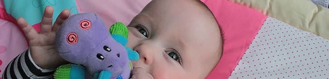 Het Vlinderhoekie - Daycare in Assen