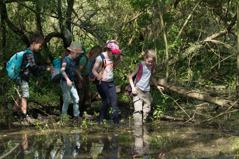 Struin Wageningen - Buitenschoolse opvang in Wageningen