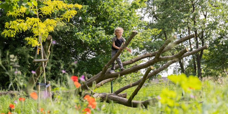 VANDAAG KDV Natuur-rijk - Kinderdagverblijf in Drachten