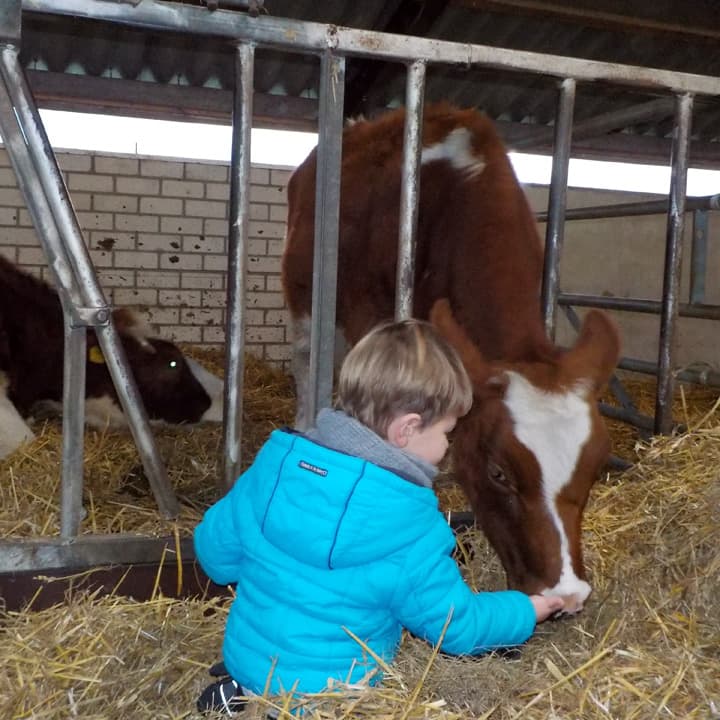 Kinderdagverblijf Wilton's Hof - Kinderdagverblijf in Oost West en Middelbeers