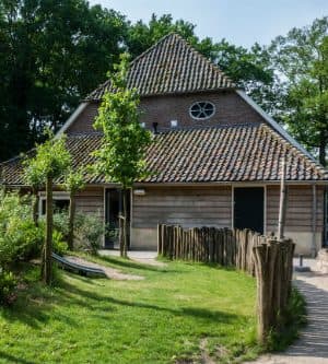 Kinderdagverblijf Nijntje - Kinderdagverblijf in Laag-Keppel