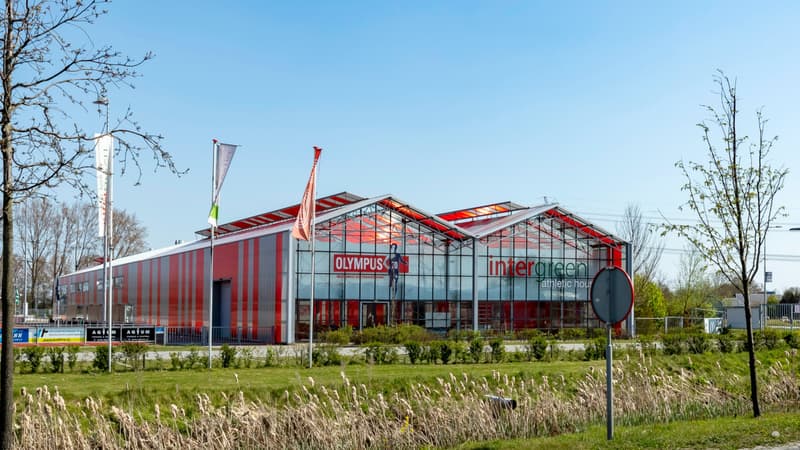 BSO KwestKids Naaldwijk, Olympus - Buitenschoolse opvang in Naaldwijk