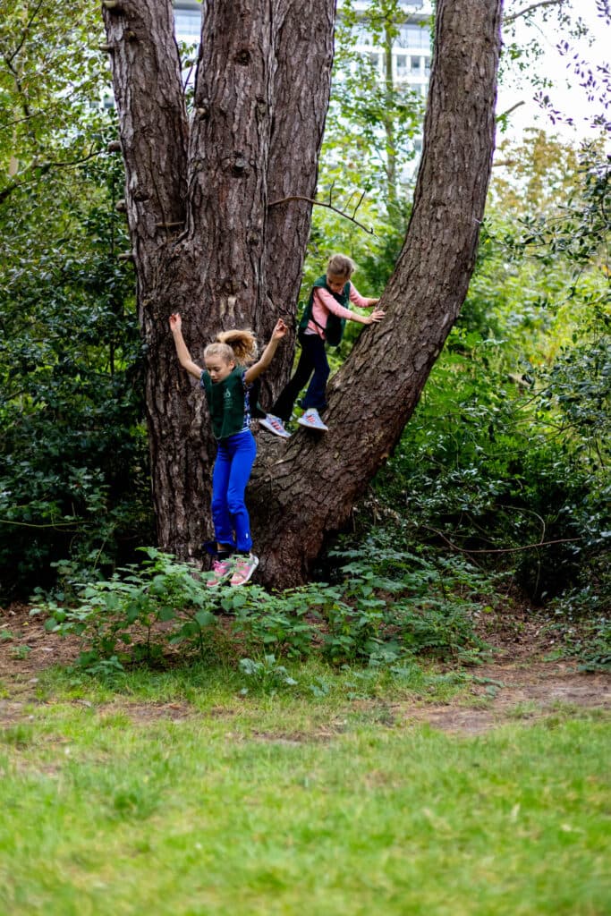 Zo aan de Daal en Bergselaan - After-school care in 's-Gravenhage