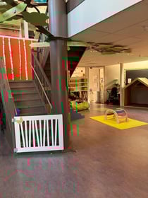 Wasko Benjamin KDV - Image 1