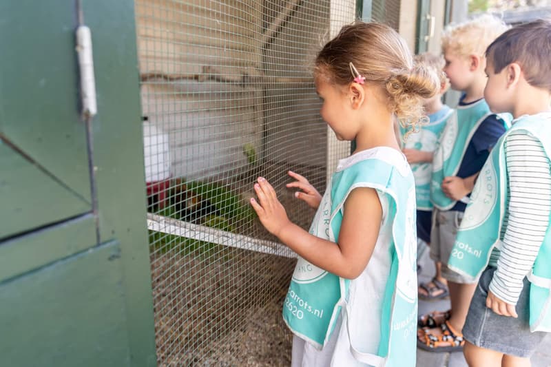 Kids and Carrots aan de Westerbaenstraat - Kinderdagverblijf in 's-Gravenhage