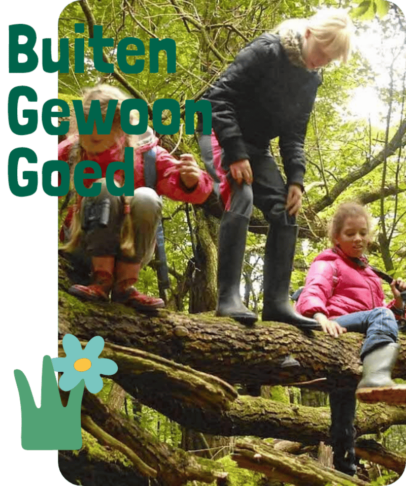 BSO Midas in 't Park - Buitenschoolse opvang in Haarlem