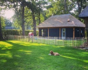 Kinderdagverblijf Eigenwijs - Daycare in Emmen