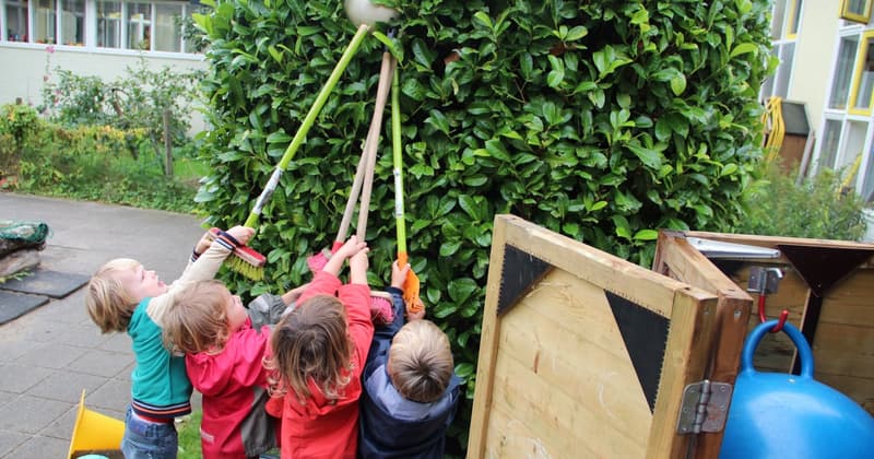 De Kleine Roos-crèche - Kinderdagverblijf in Amsterdam