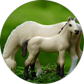 schleichlovertje 4591