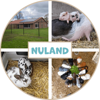 Het Beertje op de Boerderij - Kinderdagverblijf in Nuland