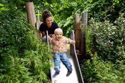 Bloeiweide - Image 1