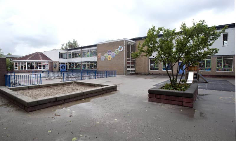 De Bijenkorf - Buitenschoolse opvang in Gouda