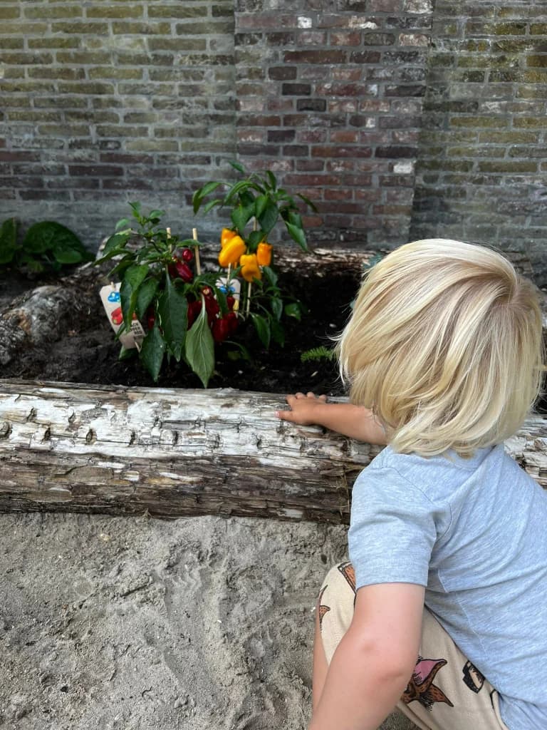 BSO het Stoerwoud NG30 - Buitenschoolse opvang in Utrecht