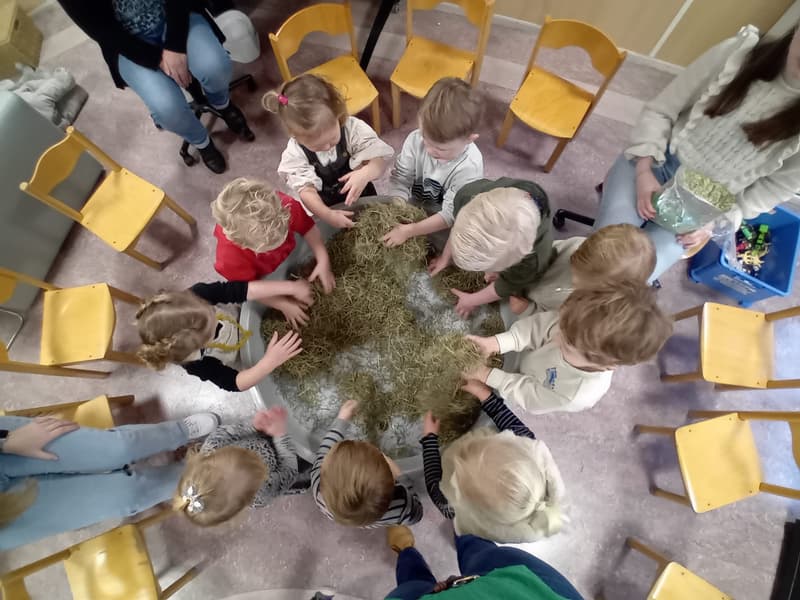 KDV 't Kelderke - Daycare in Harreveld