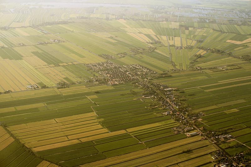 Zegveld - After-school care in Zegveld