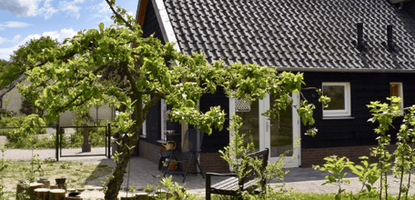 Het Elfenbankje (Stichting De Wende Overasselt) - Image 1