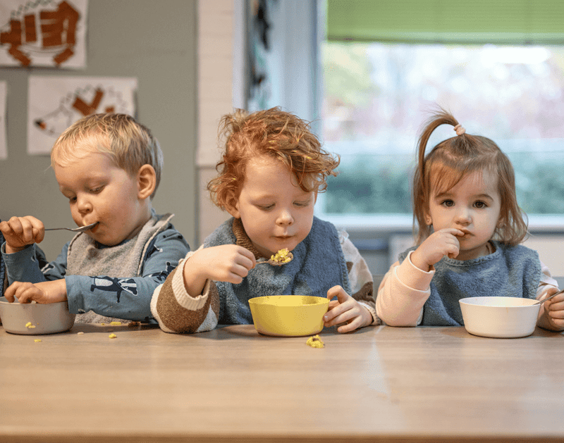 Bereboot - Kinderdagverblijf in Purmerend