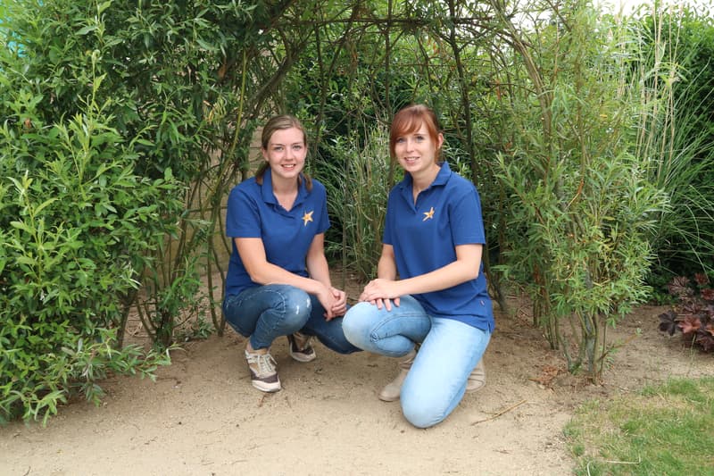 Kinderdagverblijf De kleine Zeester Westendorp - Kinderdagverblijf in Westendorp