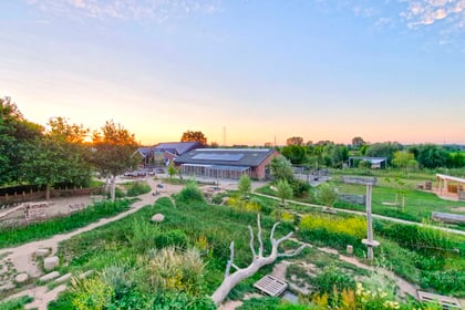 De Landerij - Image 1