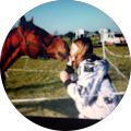 annemarie aerts