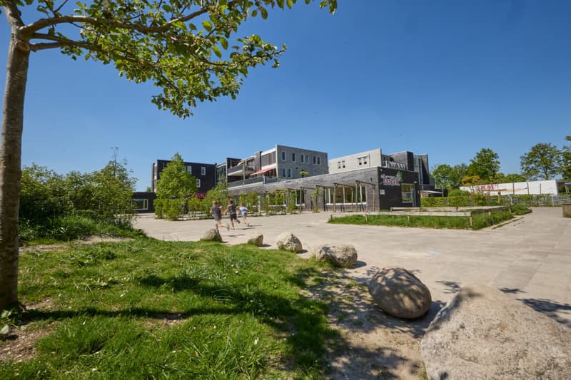 Doomijn BSO Schapendrift - After-school care in Havelte