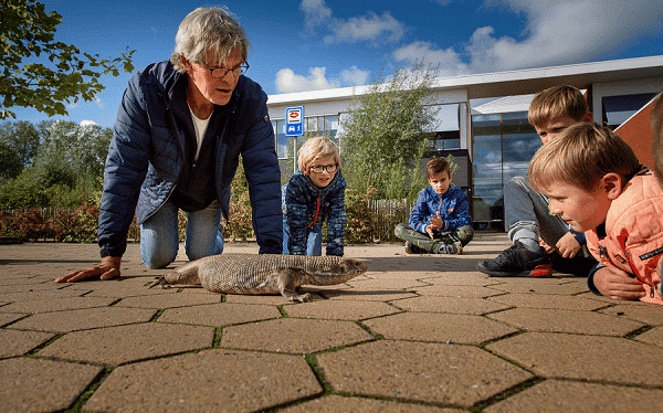 BSO Wytgaard - Buitenschoolse opvang in Wytgaard
