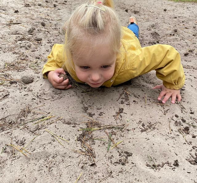 KC Dikkertje Dap / BSO 't Speelveld - Buitenschoolse opvang in Haarsteeg