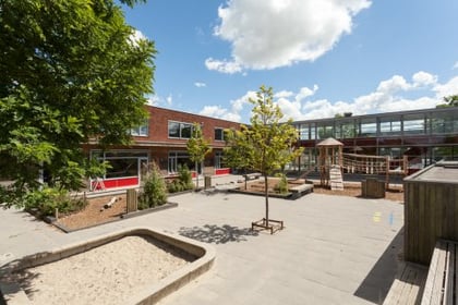 SkippyPepijn KDV Wallaroe - Image 1