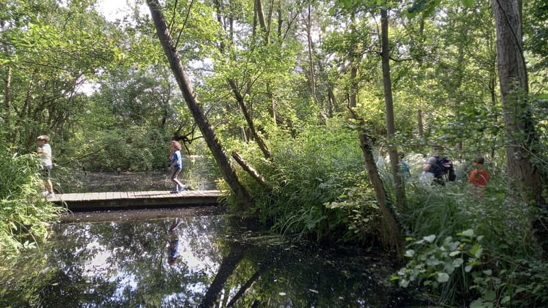 BSO Fun Forest - Buitenschoolse opvang in Rotterdam