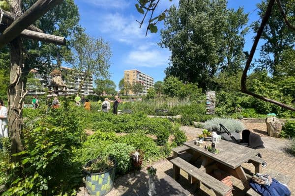 MaastuinKids - After-school care in Schiedam