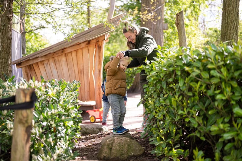 Kinderdagverblijf 't Nestje - Kinderdagverblijf in Dirkshorn