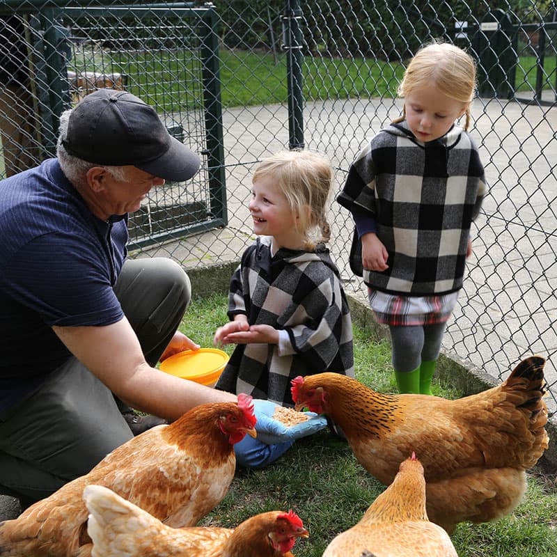 Beerengoed I en II - Kinderdagverblijf in Heerlen