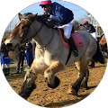 Bob Zeegers