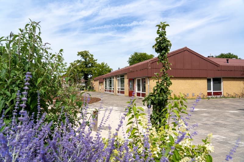 BSO BuitenGewoon - Buitenschoolse opvang in Sint Joost