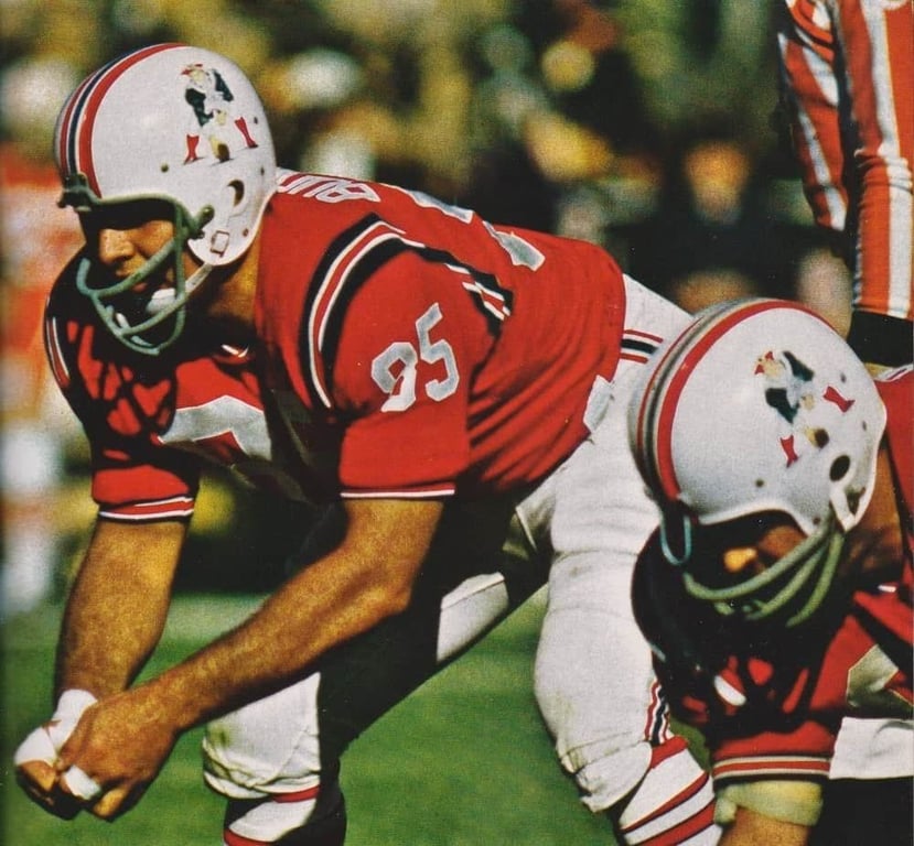 Nick Buoniconti.jpg