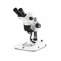 Euromex - NexiusZoom (EVO) - Binoculair - Kolom statief