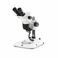 Euromex - NexiusZoom (EVO) - Binoculair - Kolom statief